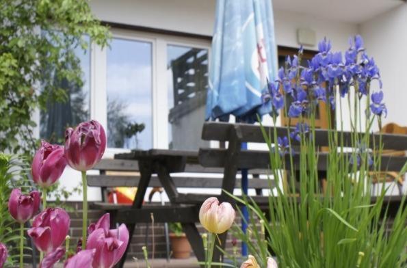 Pensjonacik Albatros Apartman Mikołajki Kültér fotó